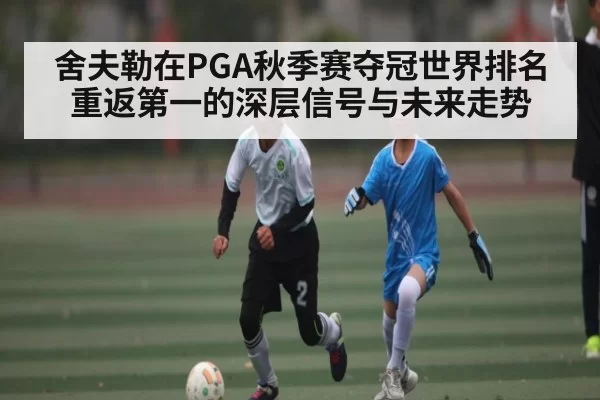 舍夫勒在PGA秋季赛夺冠世界排名重返第一的深层信号与未来走势